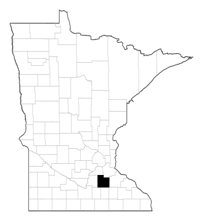 Rice County in Minnesota