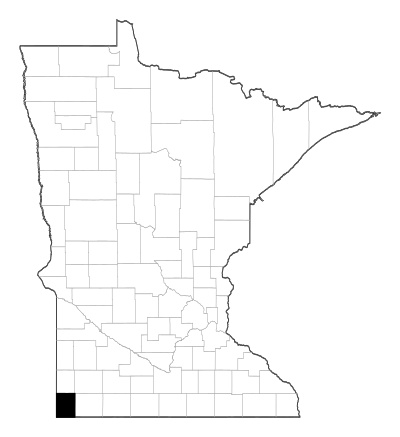 Rock County in Minnesota