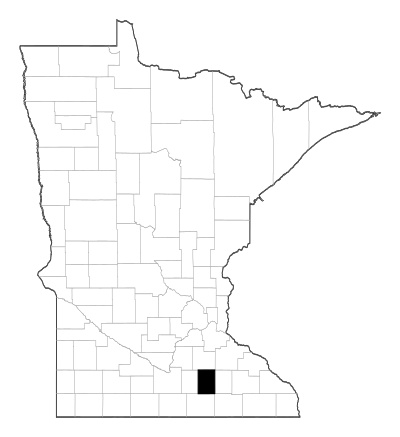Steele County in Minnesota
