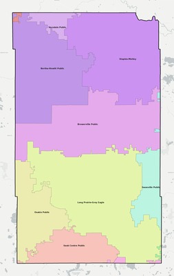 Todd County MN school district boundaries map