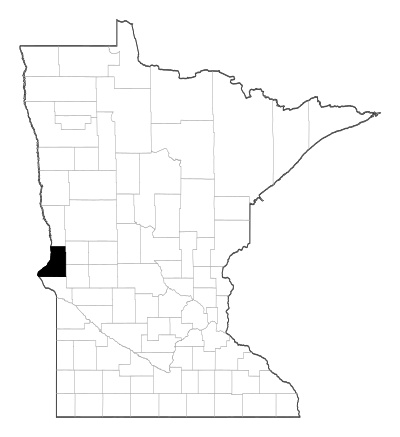 Traverse County in Minnesota