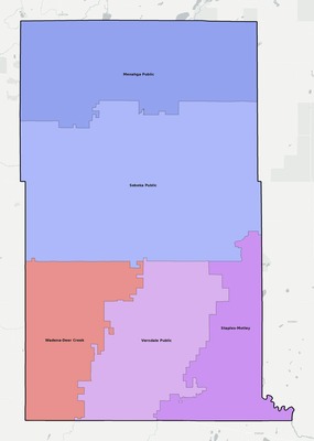 Wadena County MN school district boundaries map