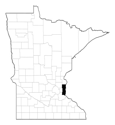Washington County in Minnesota
