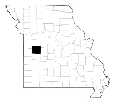 Henry County in Missouri