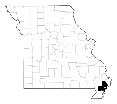 New Madrid County in Missouri