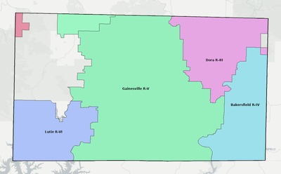 Ozark County MO school district boundaries map