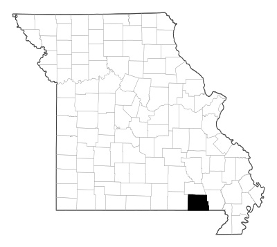 Ripley County in Missouri