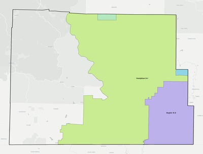 Ripley County MO school district boundaries map