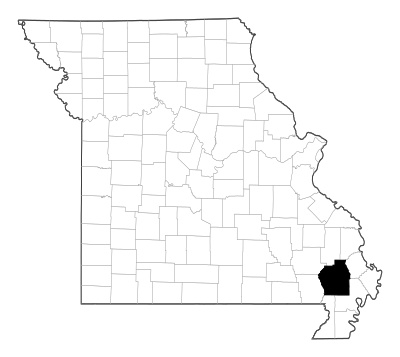 Stoddard County in Missouri