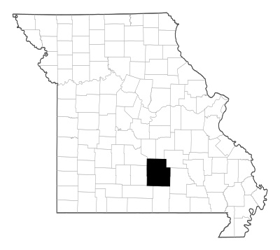Texas County in Missouri