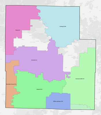 Texas County MO school district boundaries map