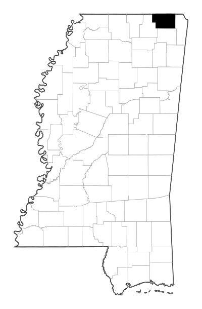 Alcorn County in Mississippi