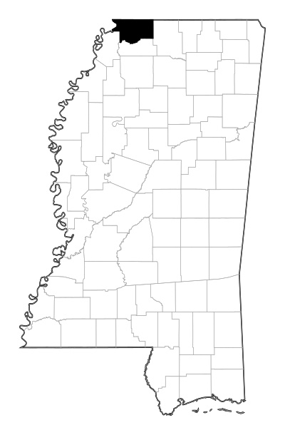 DeSoto County in Mississippi