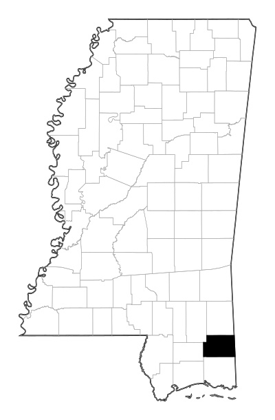 George County in Mississippi