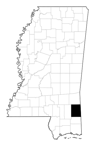Greene County in Mississippi