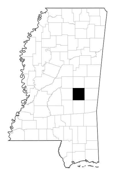 Newton County in Mississippi
