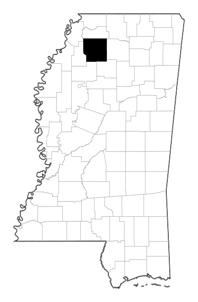 Panola County in Mississippi
