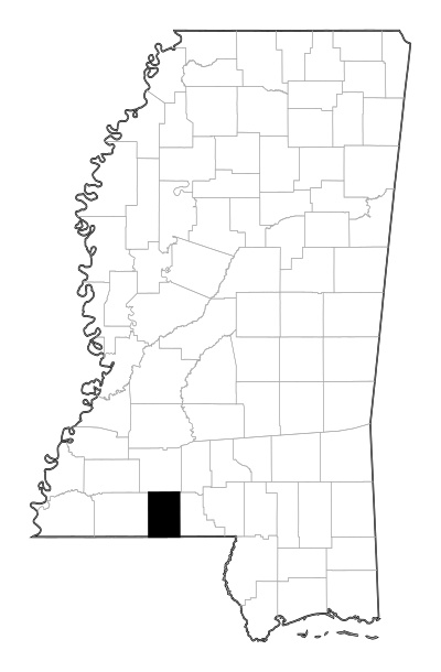 Pike County in Mississippi