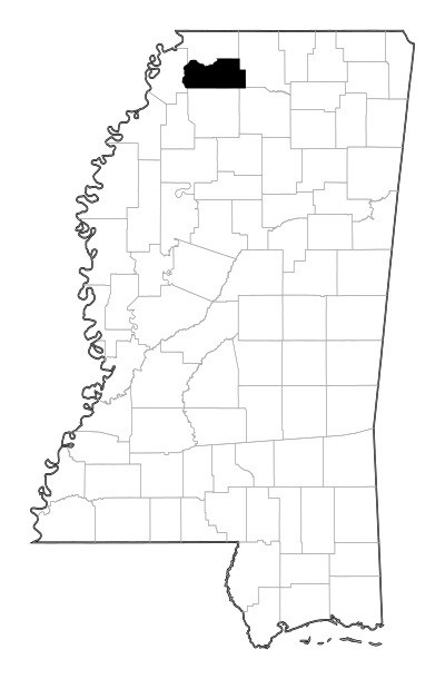 Tate County in Mississippi