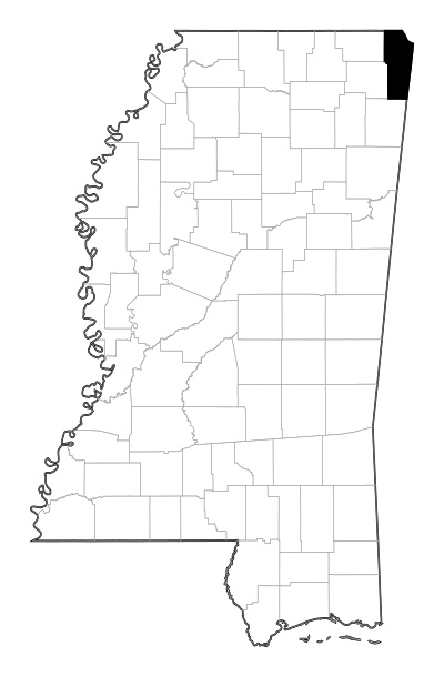 Tishomingo County in Mississippi