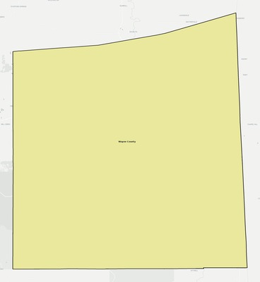 Wayne County MS school district boundaries map