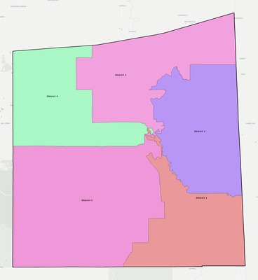 Wayne County MS townships and subdivisions map