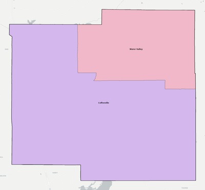 Yalobusha County MS school district boundaries map
