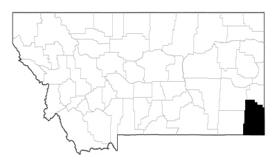 Carter County in Montana