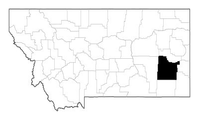 Custer County in Montana