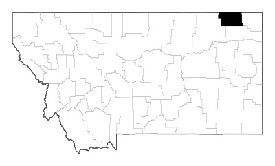 Daniels County in Montana