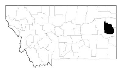 Dawson County in Montana