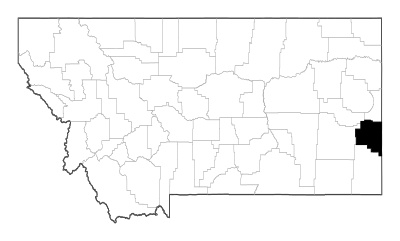 Fallon County in Montana