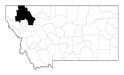Flathead County in Montana