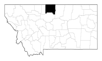 Hill County in Montana