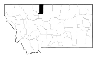 Liberty County in Montana