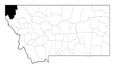 Lincoln County in Montana