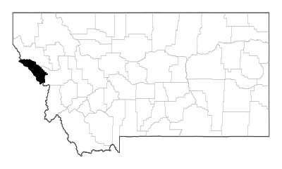 Mineral County in Montana