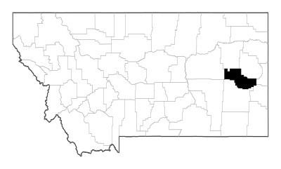 Prairie County in Montana