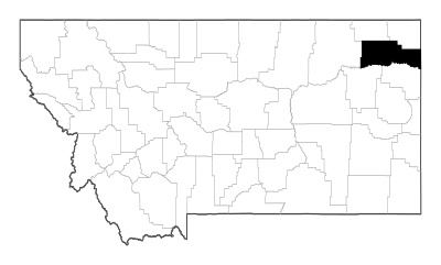 Roosevelt County in Montana