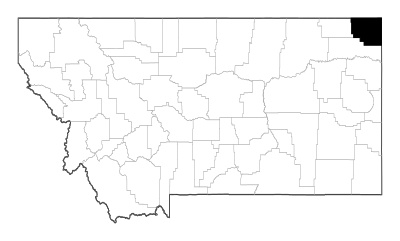 Sheridan County in Montana
