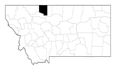 Toole County in Montana