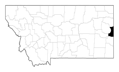 Wibaux County in Montana