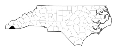 Clay County in North Carolina