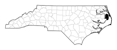 Dare County in North Carolina