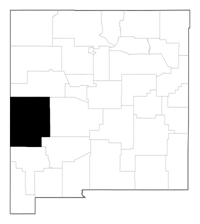 Catron County in New Mexico