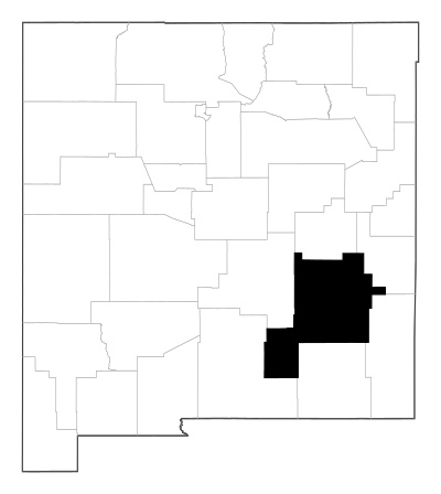 Chaves County in New Mexico