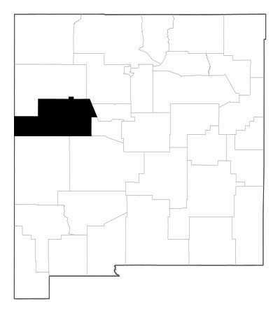 Cibola County in New Mexico