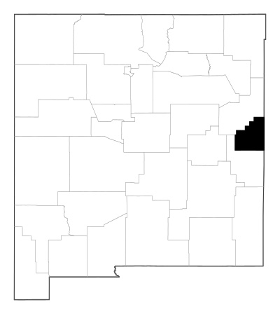Curry County in New Mexico