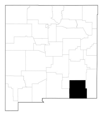 Eddy County in New Mexico