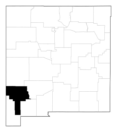Grant County in New Mexico
